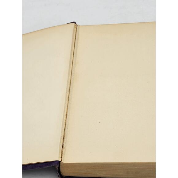 The Guest Of Quesnay By Booth Tarkington Illustrated Antiquarian Vintage 1916 - Picture 9 of 12